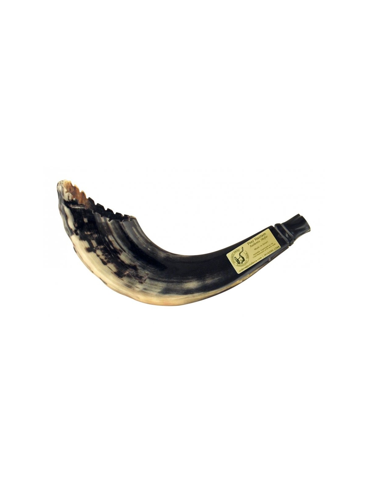 Shofar en Corne de Bélier Style Marocain Couleur Foncé avec... | Shofars en corne de bélier