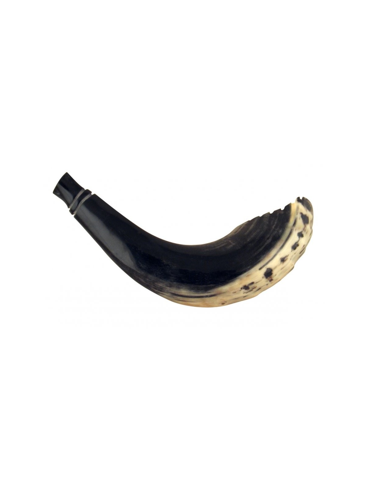 Shofar en Corne de Bélier Style Marocain Couleur Foncé avec... | Shofars en corne de bélier