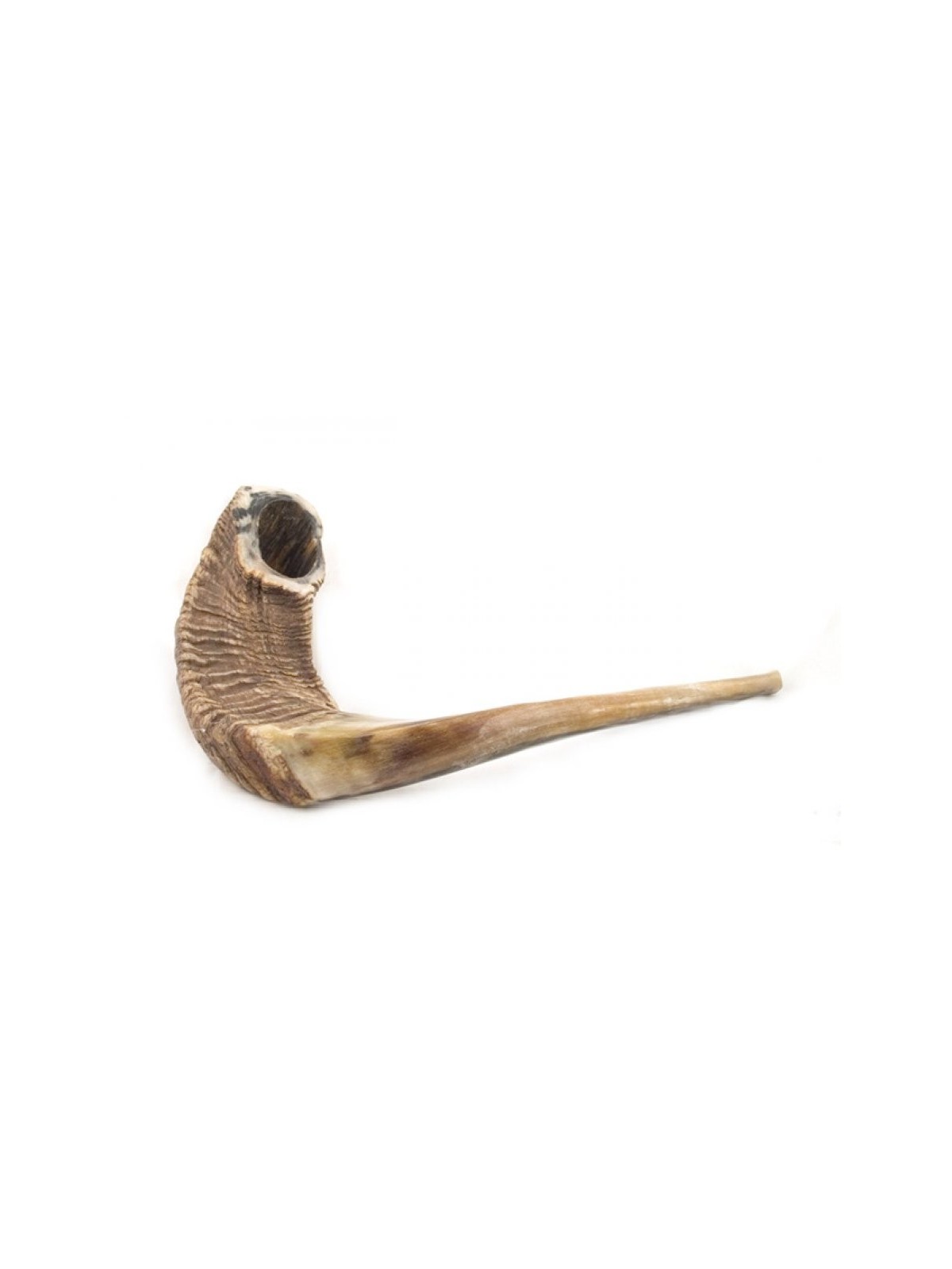 Shofar en corne de bélier naturelle extra large | Shofars en corne de bélier
