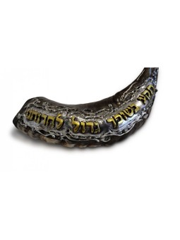 Decorative Rams Horn Shofar Gold and Silv... | Sterling Silver Shofars