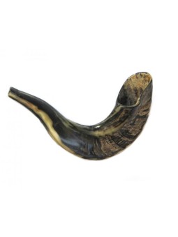 Small Rams Horn Shofar for Kids Dark Colors | Rams Horn Shofars