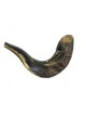 Petit Shofar en corne de bélier pour enfants Couleurs foncées | Shofars en corne de bélier
