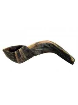 Grand Shofar en corne de bélier noir naturel | Shofars en corne de bélier