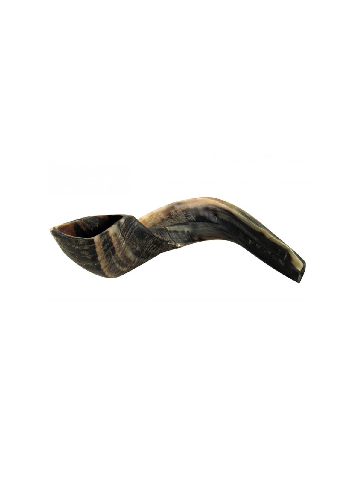 Grand Shofar en corne de bélier noir naturel | Shofars en corne de bélier