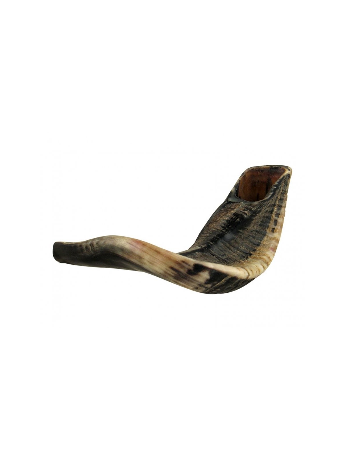 Grand Shofar en corne de bélier noir naturel | Shofars en corne de bélier