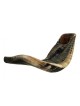 Grand Shofar en corne de bélier noir naturel | Shofars en corne de bélier