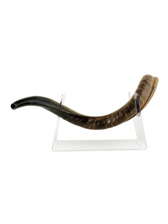 Le support Lucite s’adapte au Shofar yéménite 22 40 pouces de longueur | Supports de Shofar