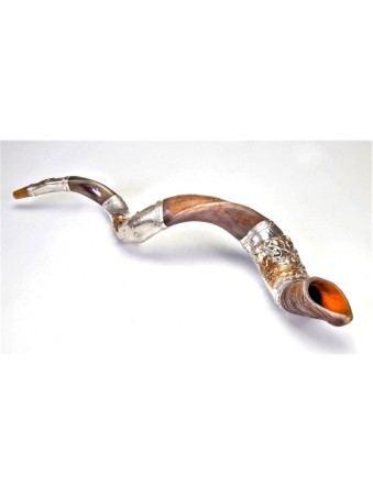 Shofar yéménite en argent Lion et agneau Design | Shofars en argent sterling