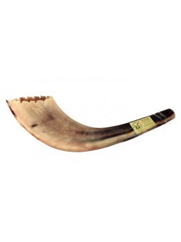 Shofar en corne de bélier de style marocain, couleur claire avec... | Shofars en corne de bélier