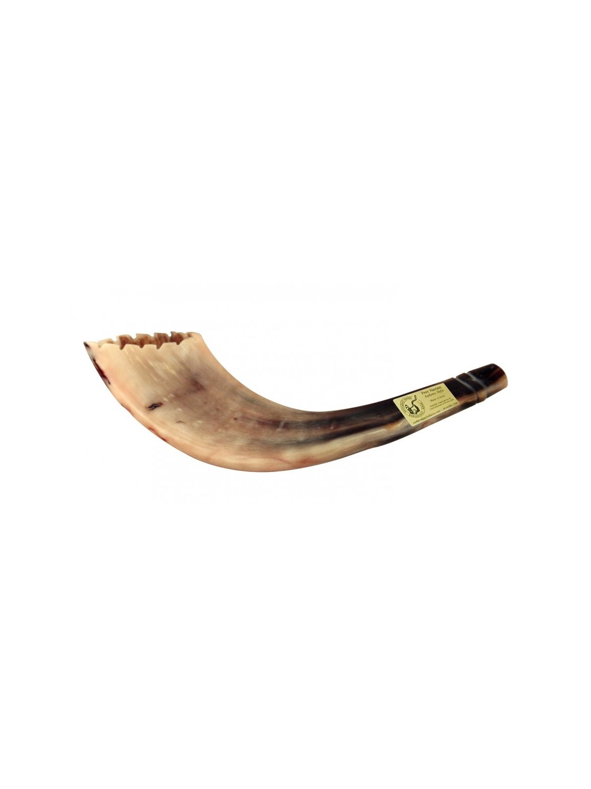 Shofar en corne de bélier de style marocain, couleur claire avec... | Shofars en corne de bélier