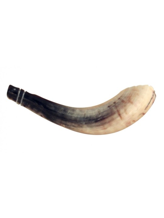 Rams Horn שופר סגנון מרוקאי צבע בהיר עם... | ראמס הורן שופרס