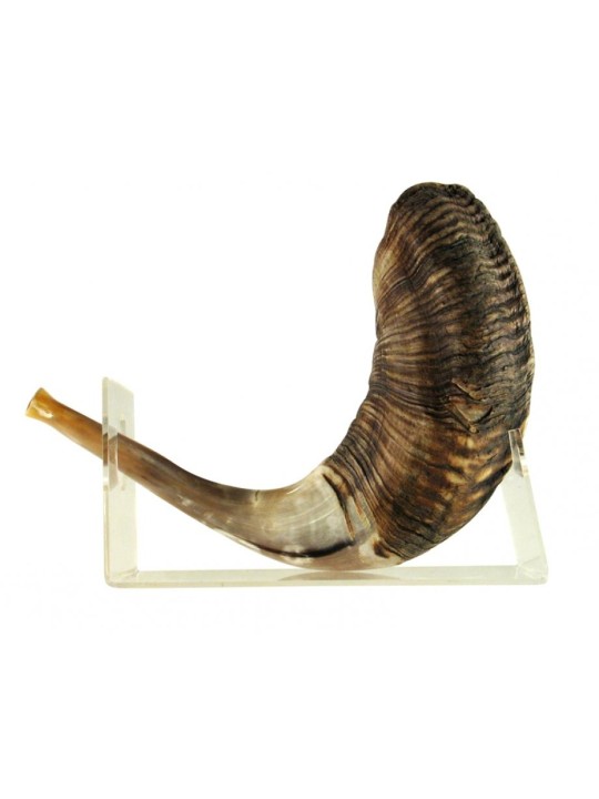 Support de Shofar en Lucite en corne de bélier pour grand Shofar 18 2... | Supports de Shofar