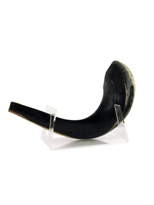 Support Lucite pour béliers moyens Shofar 11 18 pouces Le... | Supports de Shofar