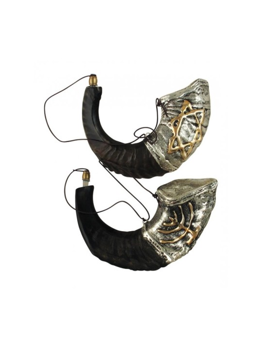 Récipient d'onction en corne de bélier en argent sterling... | Shofars en argent sterling