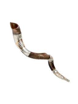 Shofar yéménite décoratif en argent sterling... | Shofars en argent sterling