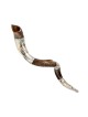Decorative Yemenite Shofar Sterling Silve... | Sterling Silver Shofars