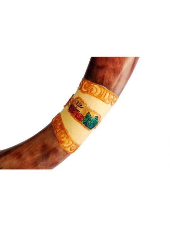 Jumbo Yéménite Peint à la main Shofar Coloré Jeru... | Shofars yéménites