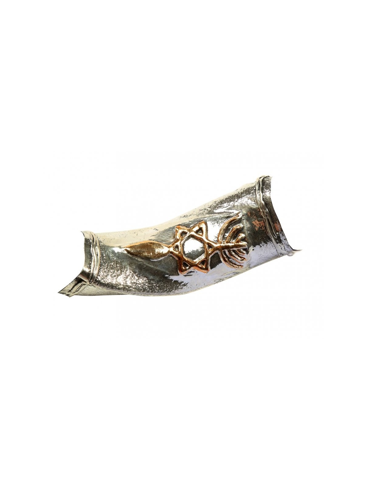 Temple Menorah Étoile de David Argent Yémen... | Shofars en argent sterling