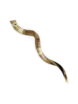 Jumbo Yemenite Hand Painted Shofar Jerusalem wit... | Yemenite Shofars