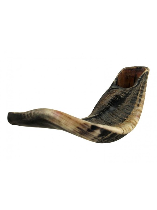 Shofar en corne de bélier noir naturel avec sac et clé... | Shofars en corne de bélier