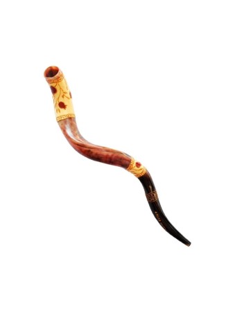 Conception de grenade Shofar yéménite peint à la main | Shofars yéménites