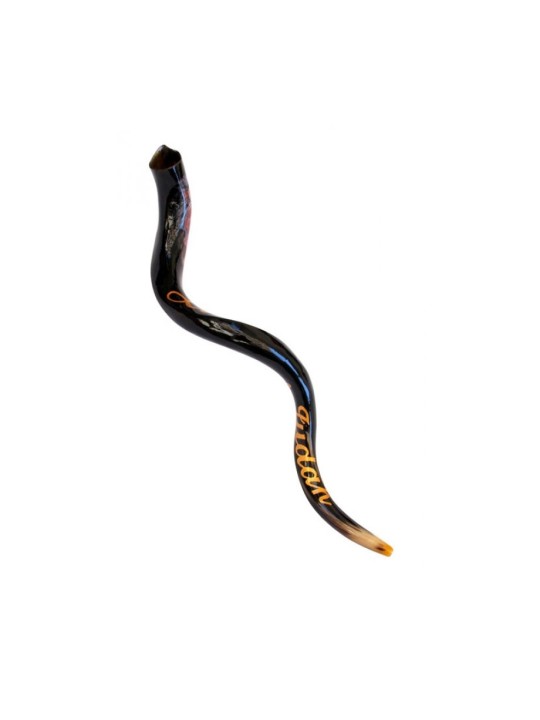 Lion de Shofar yéménite peint à la main de collectionneurs... | Shofars décorés