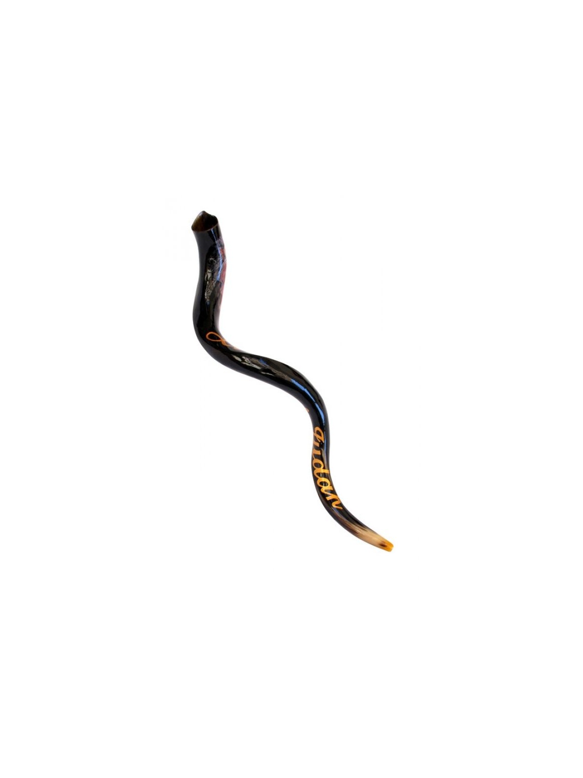 Lion de Shofar yéménite peint à la main de collectionneurs... | Shofars décorés