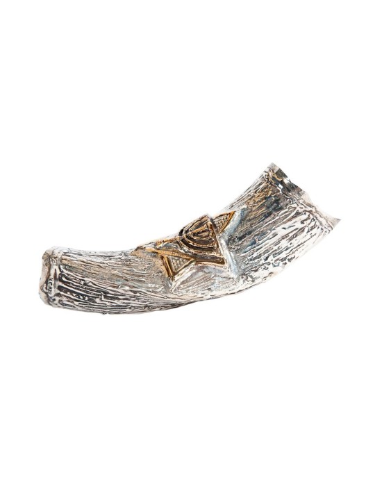 Shofar yéménite décoratif avec argent sterling... | Shofars en argent sterling