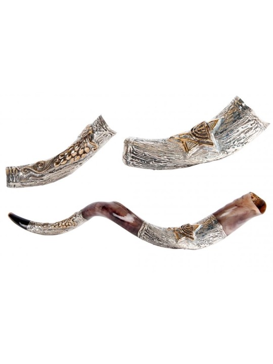 Shofar yéménite décoratif avec argent sterling... | Shofars en argent sterling
