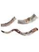 Decorative Yemenite Shofar with Sterling ... | Sterling Silver Shofars