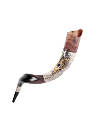 Étoile de David en pierre bleue en argent sterling... | Shofars en argent sterling