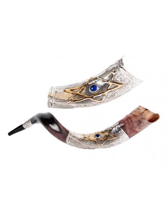 Étoile de David en pierre bleue en argent sterling... | Shofars en argent sterling