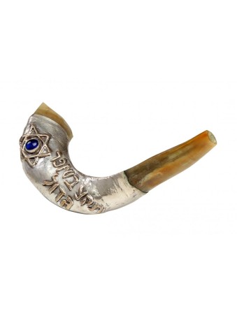 Sonnez le Grand Shofar Bénédiction Argent Ra... | Shofars en argent sterling