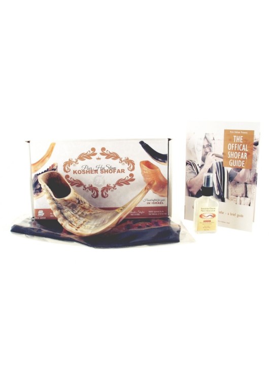 Natural Rams Horn Shofar with Bag and Cleaning ... | Rams Horn Shofars