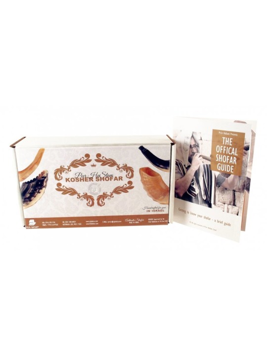 Shofar en corne de bélier naturelle avec sac et nettoyage... | Shofars en corne de bélier