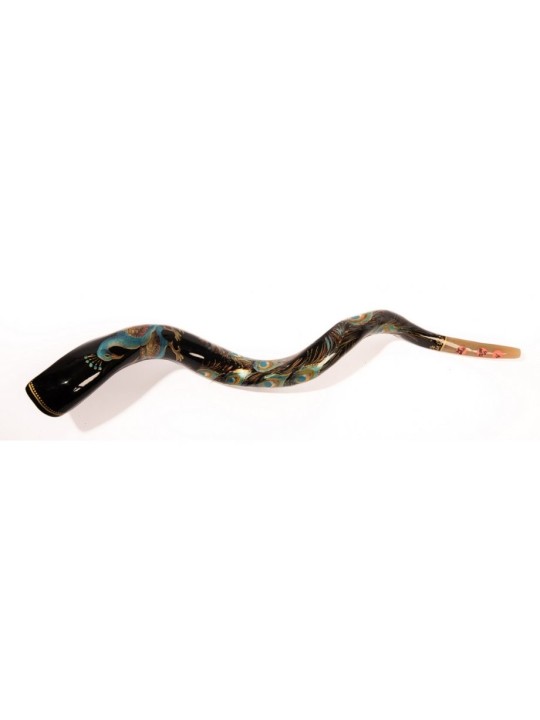 Paon Shofar yéménite peint à la main | Shofars décorés