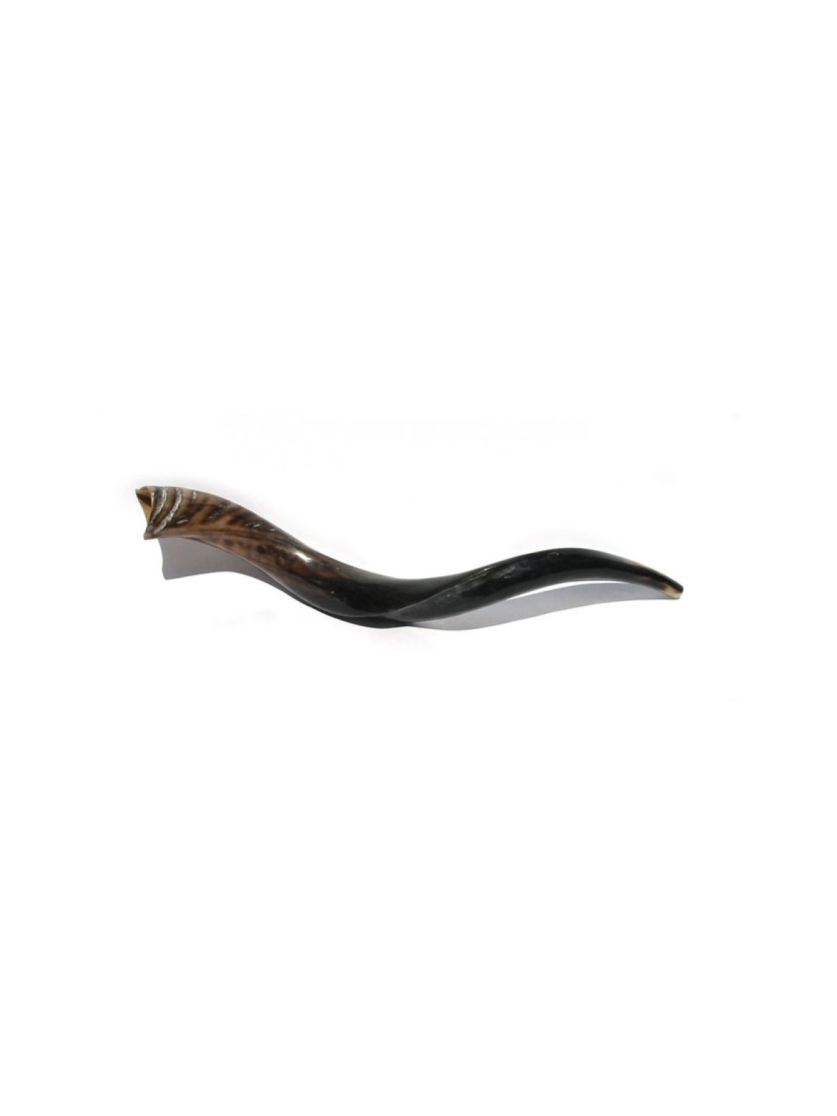 2 Shofars yéménites polis 33 | Vente de Shofar