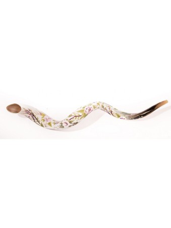 Collectionneurs peints à la main au printemps Shofar yéménite... | Shofars décorés