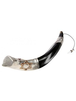 Onction du Shofar yéménite en argent sterling... | Shofars en argent sterling
