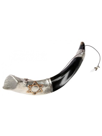 Onction du Shofar yéménite en argent sterling... | Shofars en argent sterling