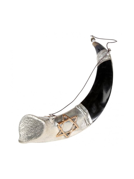 Onction du Shofar yéménite en argent sterling... | Shofars en argent sterling