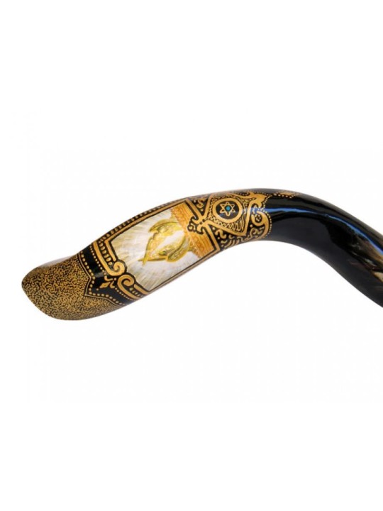 Shofar Ten Com yéménite peint à la main pour collectionneurs... | Shofars décorés