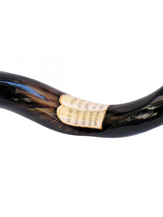 Shofar Ten Com yéménite peint à la main pour collectionneurs... | Shofars décorés