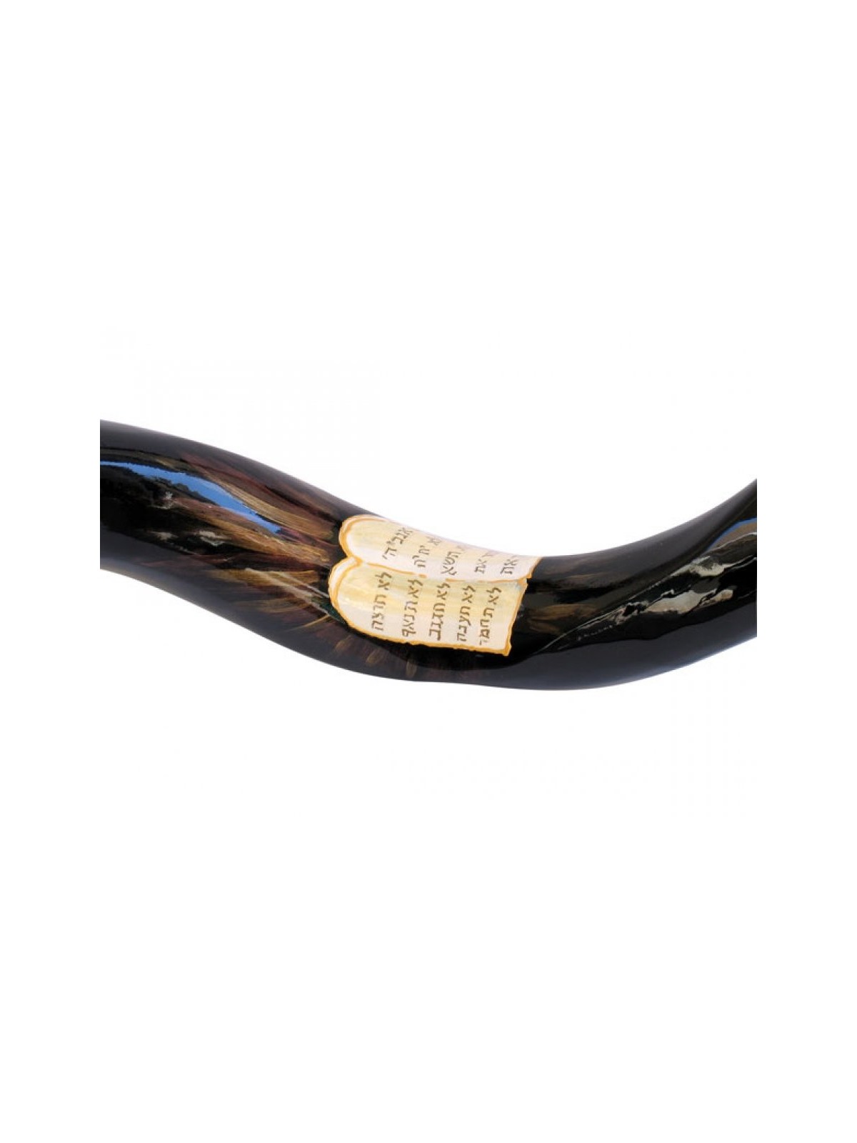 Shofar Ten Com yéménite peint à la main pour collectionneurs... | Shofars décorés