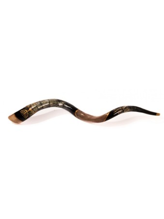 Shofar occidental yéménite peint à la main pour collectionneurs... | Shofars décorés