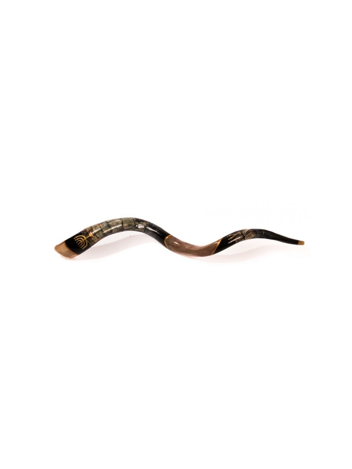 Shofar occidental yéménite peint à la main pour collectionneurs... | Shofars décorés