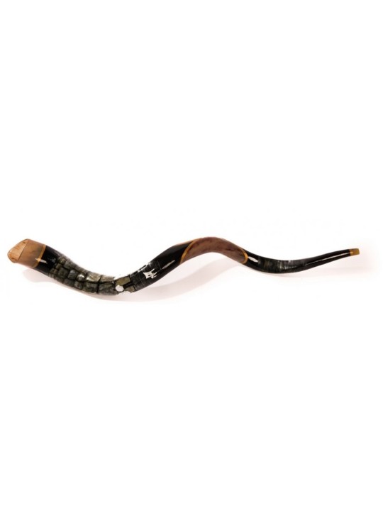 Shofar occidental yéménite peint à la main pour collectionneurs... | Shofars décorés