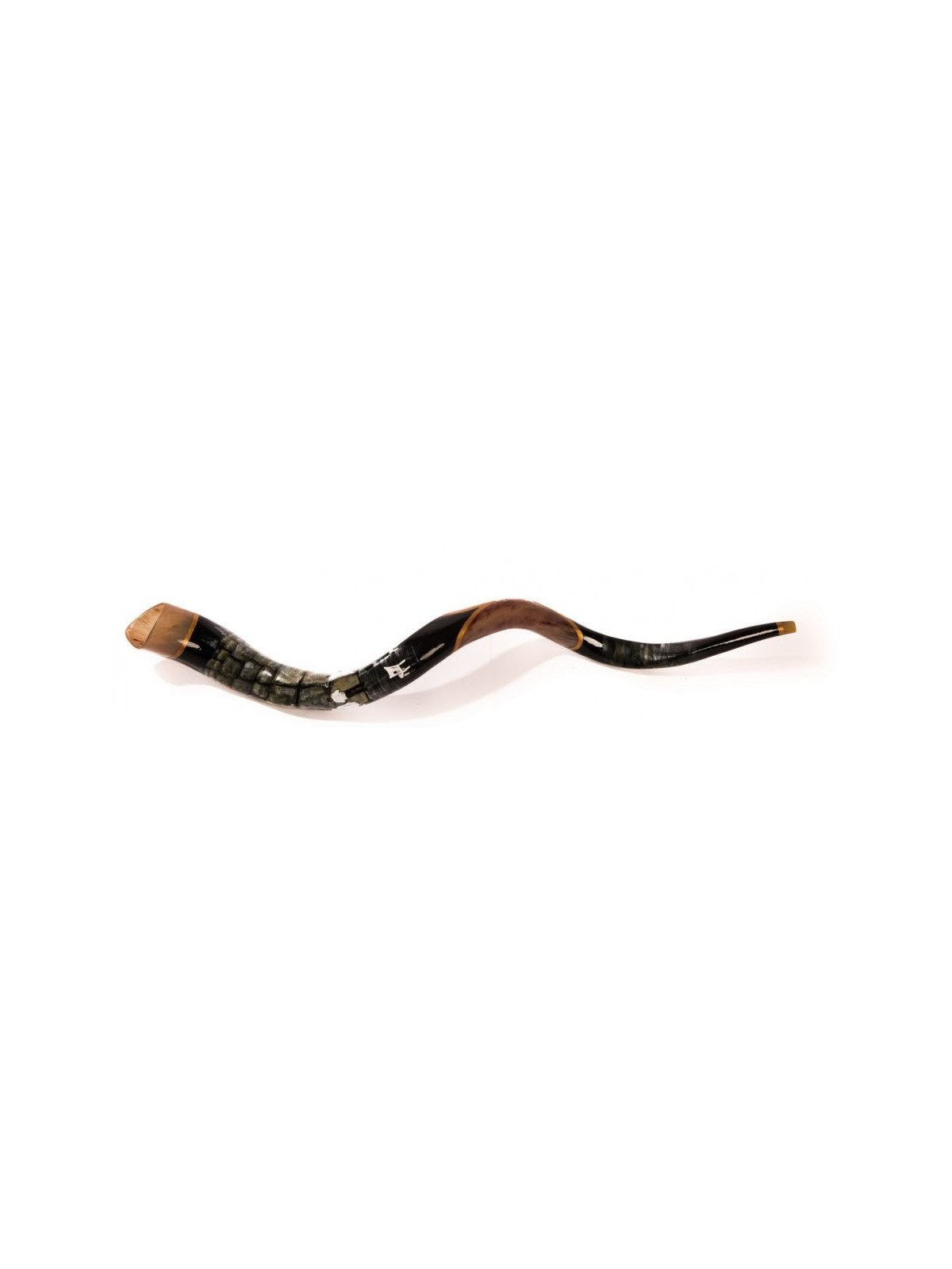 Shofar occidental yéménite peint à la main pour collectionneurs... | Shofars décorés
