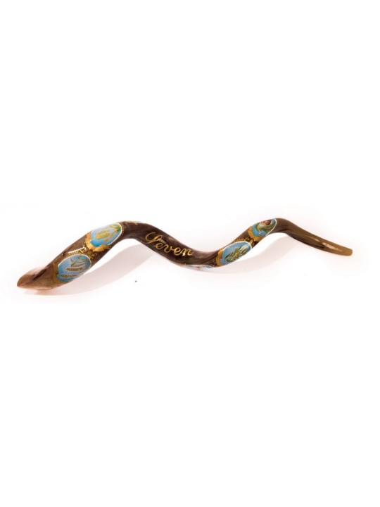 Shofar sept yéménites peints à la main pour collectionneurs... | Shofars décorés