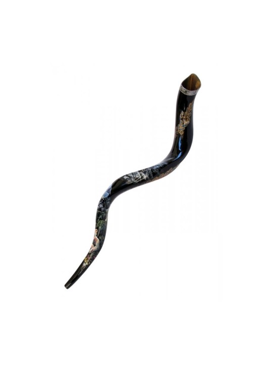 Collectionneurs peints à la main yéménite Shofar Noahs Ark | Shofars décorés